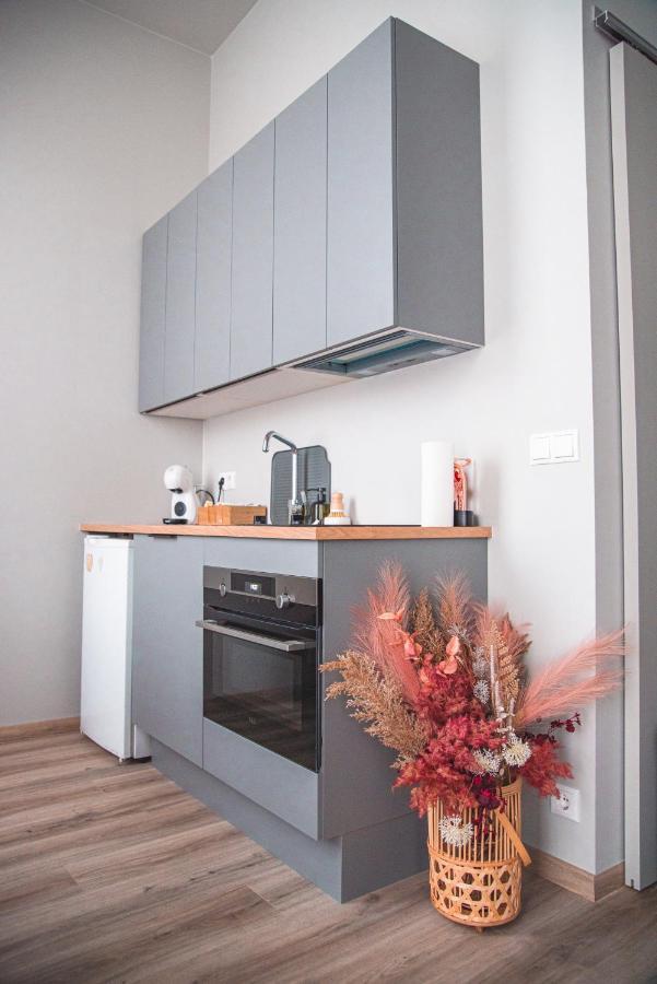 雷克雅維克Cozy Studio By The City Centre公寓 外观 照片